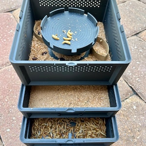 Mealworm Farm- breed and raise your own live-feeders
