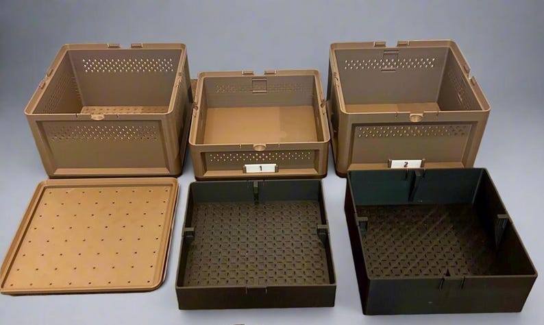 Superworm Container Rack Superworm Farm- Breed and Raise Your Own Live-feeders - Etsy