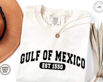 Comfort Colors Gulf of Mexico Stay Salty Resistance Shirt, Resist Shirt, Anti Trump Shirt, Democrat Shirt, Democrat Gift Shirt