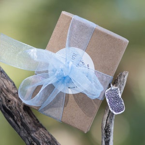 Peut inclure: Une petite bo&icirc;te cadeau marron attach&eacute;e avec un ruban bleu clair et une &eacute;tiquette assortie. Un pendentif en argent avec un motif textur&eacute; est suspendu &agrave; proximit&eacute;. Les articles sont pr&eacute;sent&eacute;s sur une branche vieillie sur un fond vert flou.