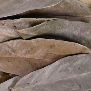 May include: A white bowl filled with dried, gray-green bay leaves. The leaves have a textured surface and are arranged in a slightly overlapping pattern. The image includes a logo in the upper left corner that says "Ceylon Herbs Garden".