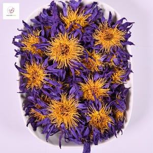 Blue Lotus Tea | Organic Nymphaea Caerulea Flowers | Relaxation & Sleep Herbal Infusion | Caffeine-Free Ayurveda Tea