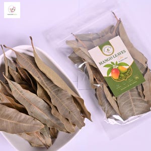 Bio Mangoblätter Tee | Ceylon Kräuter Wellness Mischung | 100% natürliche frisch getrocknete Mangoblätter | Koffeinfreies Entgiftungskräutergetränk | Trockene Mango