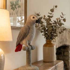 Peut inclure: Un perroquet gris crocheté, avec une queue rouge vif, perché sur un support assorti. Le bec est noir. L'ensemble est posé sur une surface en bois, avec un fond neutre et une décoration.