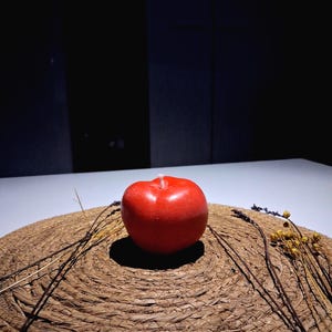 Realistic Tomato Candle – Handmade Fruit Shaped Decor – Quirky Kitchen Gift – Tomato Home Candle