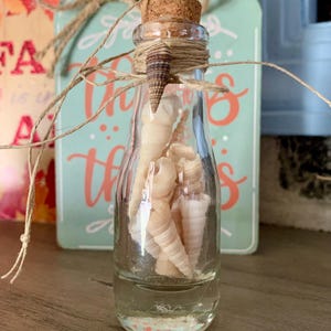 Sweet glass seashell bottle ornament