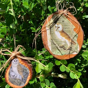 Set of two natural wood slices rustic owl ornaments decoration