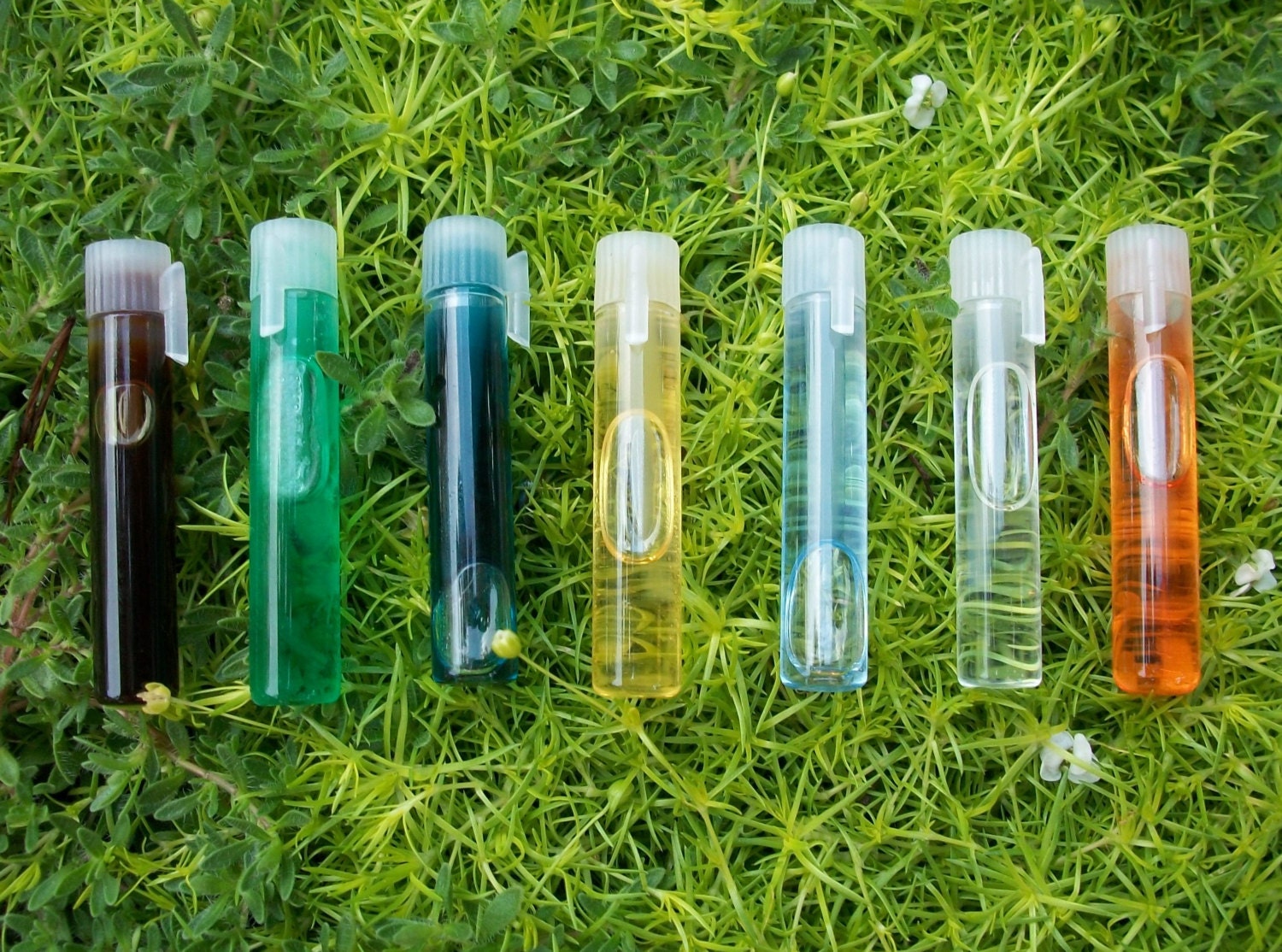 Fragrance Oil Samples 60 Samples Etsy