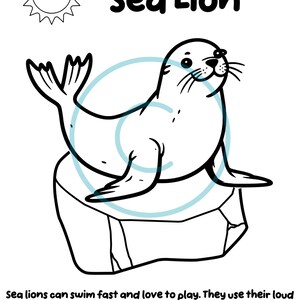 May include: A black and white coloring page featuring a cartoon sea lion perched on a rock. The text reads Sea Lion at the top and Sea lions can swim fast and love to play. They use their loud barks to talk to each other. at the bottom.