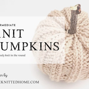 Instant Download PATTERN for Knit Seamless Pumpkin: illustrated tutorial intermediate knit double point needles in the round PDF image 1