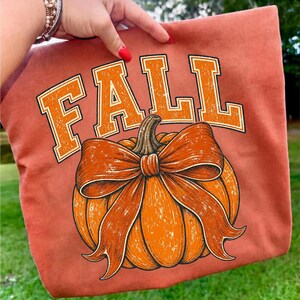 May include: A rust-colored fabric item featuring a large, orange pumpkin graphic centered on the front. The pumpkin is adorned with a prominent, tied orange ribbon bow. Above the pumpkin, the word FALL is printed in bold, orange block letters.