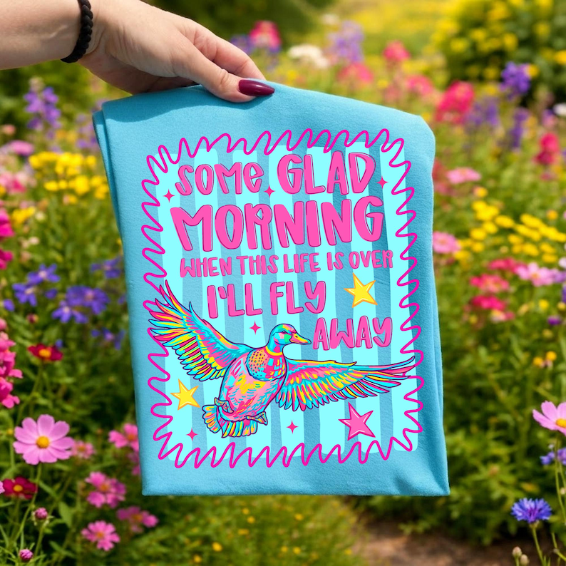 Pu&ograve; includere: Una t-shirt azzurra con un'anatra multicolore in volo. La grafica include il testo 'SOME GLAD MORNING WHEN THIS LIFE IS OVER I'LL FLY AWAY' in rosa, circondato da un bordo rosa ondulato e da piccole stelle gialle e rosa.