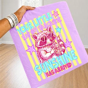 May include: A light purple blanket with a raccoon graphic wearing sunglasses and holding a drink. The text "YOUR LITTLE RAY OF SARCASTIC SUNSHINE HAS ARRIVED" is displayed in a colorful font.