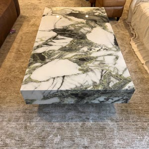 May include: A rectangular coffee table with a marble top. The marble features a white base with green and black veining. The table is set on a neutral-colored rug.
