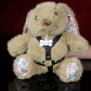 Può includere: Un coniglietto di peluche marrone con un'imbracatura nera e un'etichetta bianca a forma di osso con la scritta "Puppy". Le orecchie e le zampe del coniglietto presentano un motivo floreale rosa, blu e bianco. Il coniglietto è seduto.