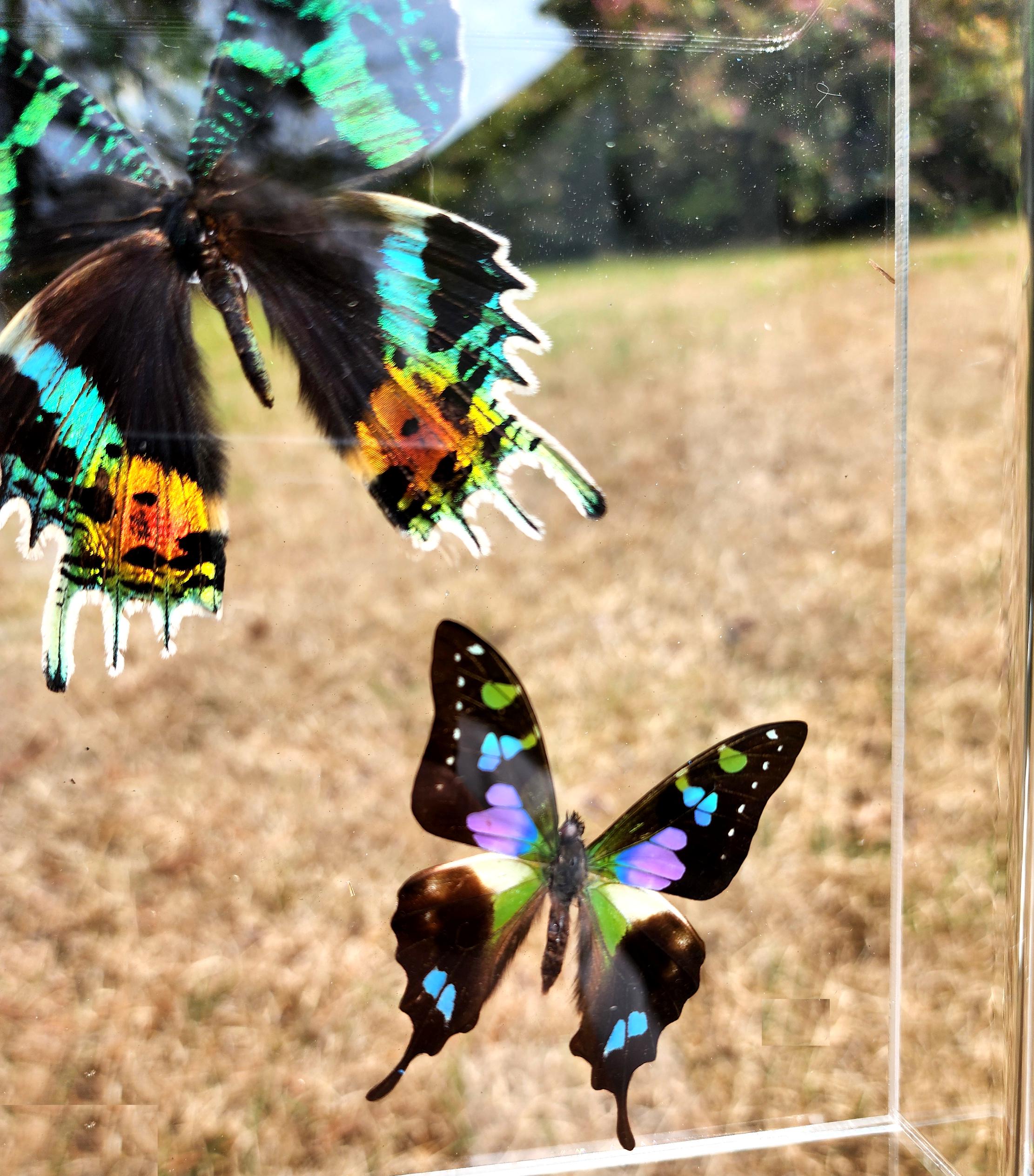 3D Framed Real 