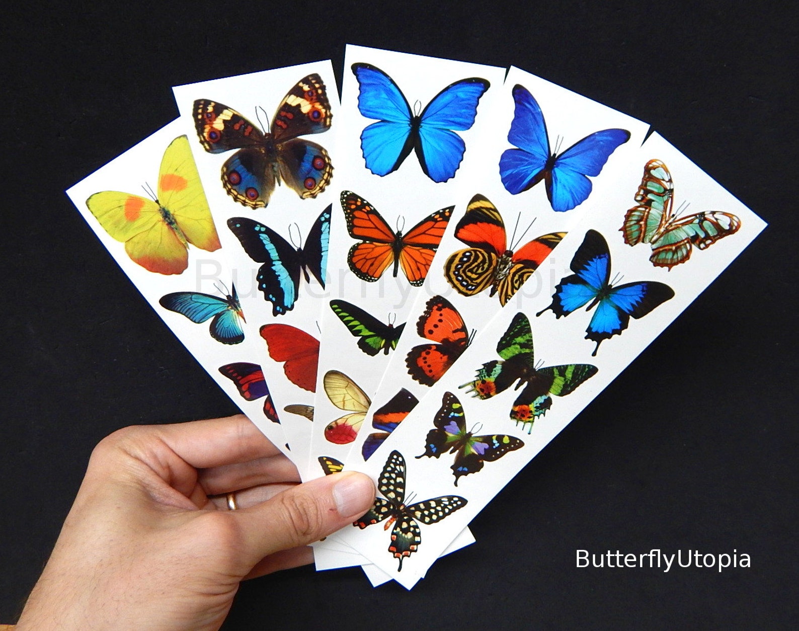 Temporary Fake Butterfly Tattoos free Shipping 5 Sheets Etsy