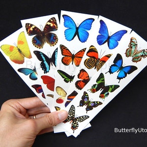 Temporary Fake Butterfly Tattoos (Free Shipping!) - 5 sheets