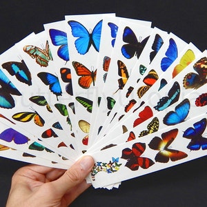 Temporary Butterfly Tattoos - All 16 Sheets - 80 different tattoos