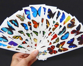 Temporary Butterfly Tattoos - All 16 Sheets - 80 different tattoos
