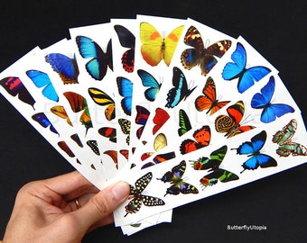 Temporary Butterfly Tattoos - 10 Sheets (Free Shipping!)
