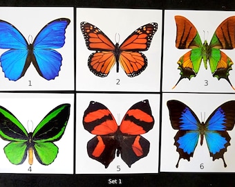 6 Giant Butterfly Temporary Tattoos - Large & Colorful - 4 inches wide