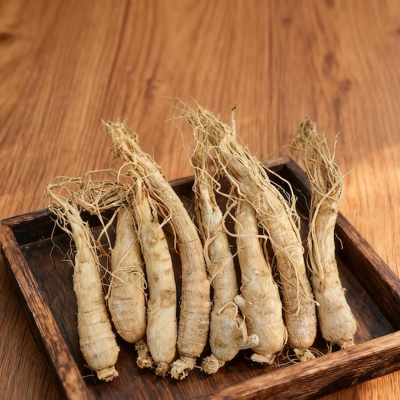 Dried Organic White Ginseng Roots