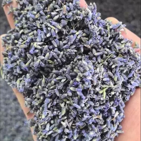 Wholesale Organic Dried Lavender Buds Flowers