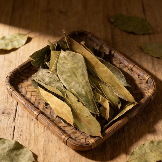 Organic Dried Soursop Leaves Tea Bulk, Hojas de Guanábana Graviola, Annona Muricata