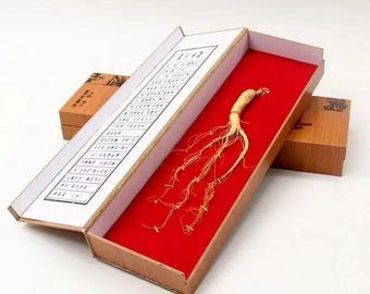 5g/pc Dried Wild Ginseng Whole Root, 15 years ginseng, Rare Collectible Botanical