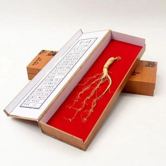 5g/pc Dried Wild Ginseng Whole Root, 15 years ginseng, Rare Collectible Botanical