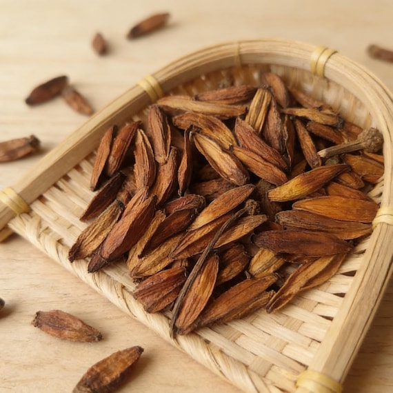 Organic Dried Camptotheca Acuminata Fruit, Fructus Camptothecae Acuminatae, Xi Shu Guo