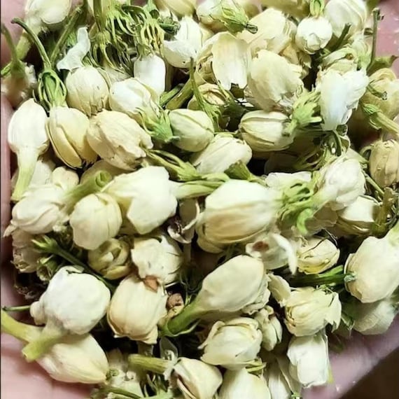 Wholesale Organic Dried Jasmine Buds Flowers