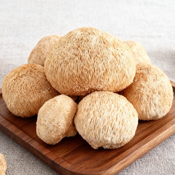 Organic Dried Lions Mane Mushroom, Hericium Erinaceus, Hou Tou Gu