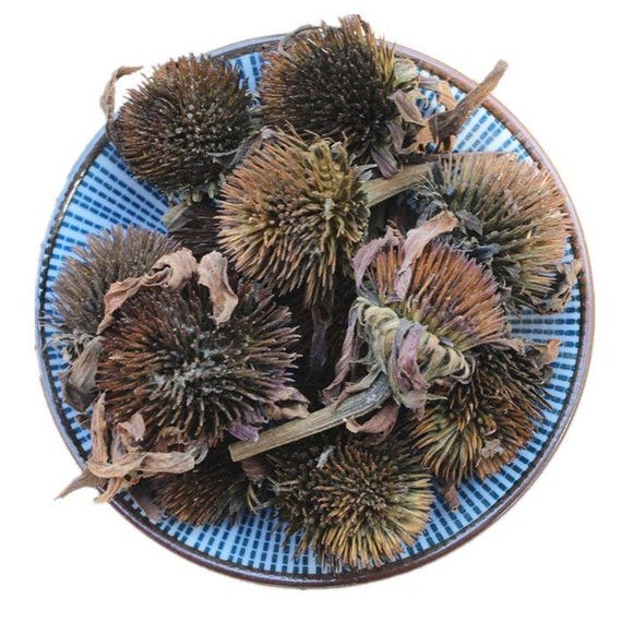 Organic Dried Echinacea Purpurea Herb, Herbal Tea