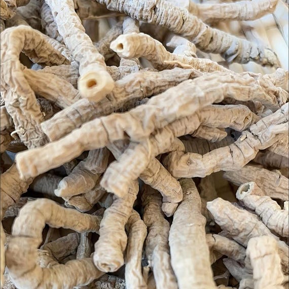 Organic Dried Polygala Tenuifolia Willd, Polygala Root, Yuan Zhi