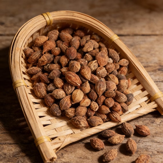 Dried Alpinia Oxyphylla Fruit - Yi Zhi Ren - Bitter-seeded Cardamon
