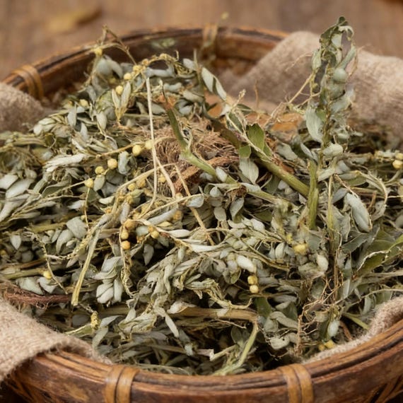 Organic Herba Dried Phyllanthi Urinariae, Underleaf pearl, Phyllanthus urinaria Linn