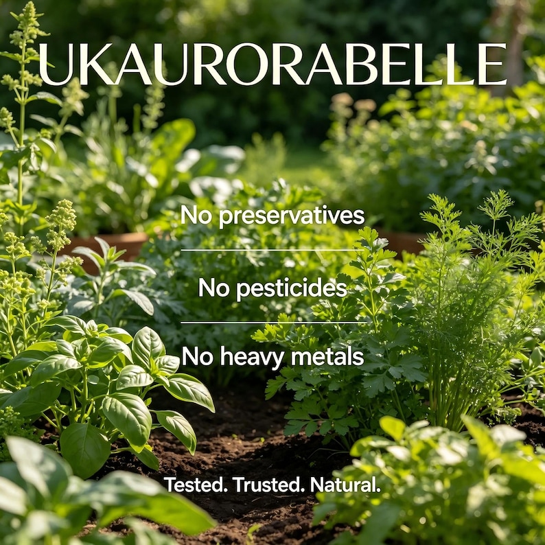 May include: A lush garden scene with various green herbs and plants. The image includes text that reads "UKAURORABELLE", "No preservatives", "No pesticides", "No heavy metals", and "Tested. Trusted. Natural."