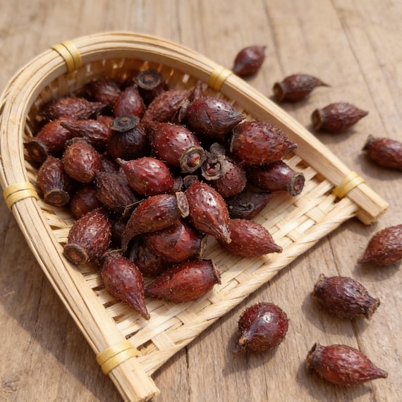 Nature Dried Cherokee Rose, Fructus Rosae Laevigatae, cherokee rose-hip, Jin Ying Zi