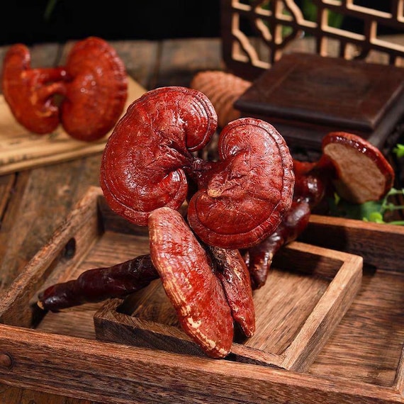 Organic Reishi Mushroom, Dried and Sliced, Ganoderma Lucidum, Herb for Wellness, Adaptogen, Spiritual Mushroom