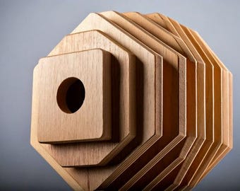 DIY geometrisch vogelhuisplan: houtbewerkingsproject voor beginners (pdf-download)