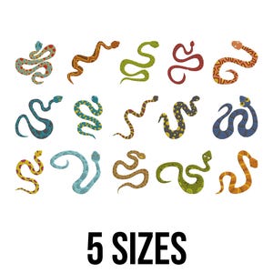 Könnte beinhalten: Eine Sammlung farbenfroher Schlangenillustrationen in verschiedenen Mustern und Farben, darunter Grün, Braun und Blau. Der Text "5 GRÖSSEN" in fetter, schwarzer Schrift weist auf die Größenoptionen für die Designs hin.