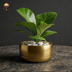 Round Metal Planter | Indoor Plant Pot | Decorative Flower Pot | Modern Home Decor