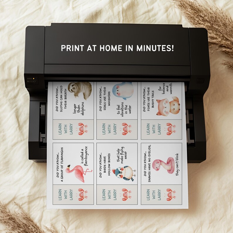 May include: A black printer printing educational flashcards with animal facts. The cards feature illustrations of sloths, seals, foxes, flamingos, birds, and snakes, with the text "Print at home in minutes!"