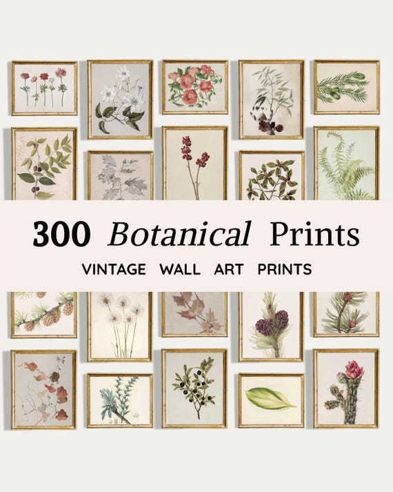300 Vintage Botanical Prints | Antique Farmhouse Wall Art | Rustic Decor | Greenery Home Decor | Plants Gallery Print Set (Digital Download)