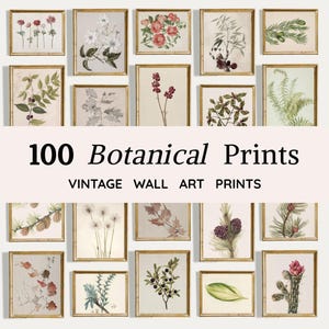 May include: A collection of framed botanical prints, each with a gold-colored frame. The prints feature various plant illustrations, including flowers, leaves, and branches. The text "100 Botanical Prints" is displayed below the prints, with "Vintage Wall Art Prints" underneath.