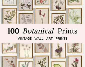 Ensemble de 100 gravures botaniques | Lot d'oeuvres d'art murales florales | Dessins botaniques | Ensemble mural de galerie de fleurs (téléchargement numérique)