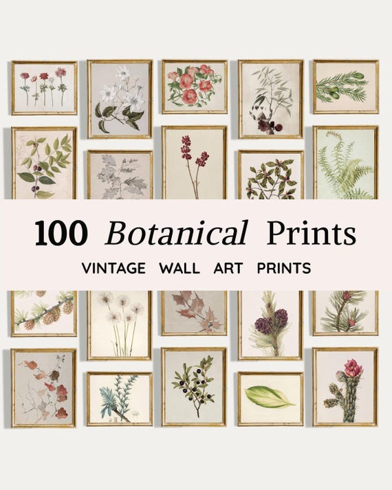 100 Vintage Botanical Prints | Antique Farmhouse Wall Art | Plant Gallery Set (Digital Download)