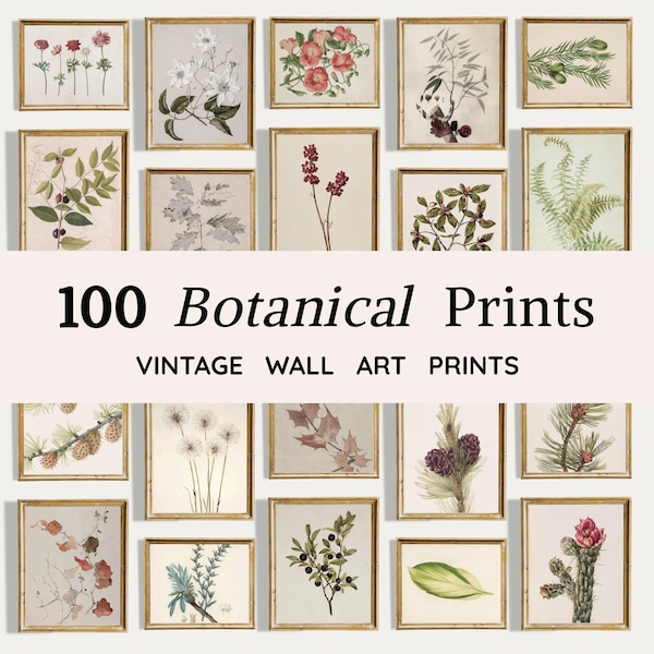 Original Botanitcal Prints Botanical Prints - Etsy